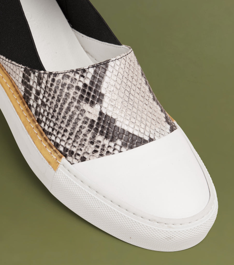 Shalvi: Roccia Snake